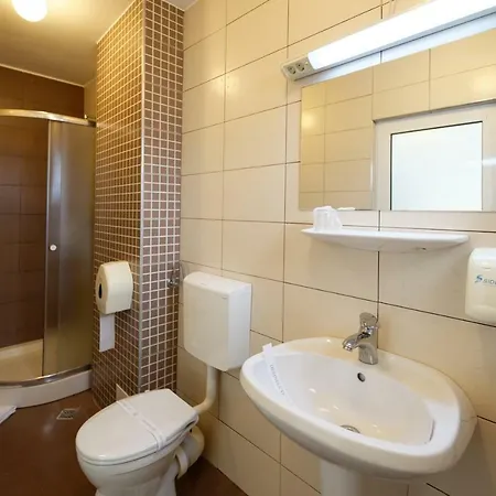Vila Rosa Pensiune Cluj-Napoca