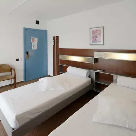 Pensiune Vila Rosa Cluj-Napoca