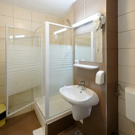 Pensiune Vila Rosa 3*