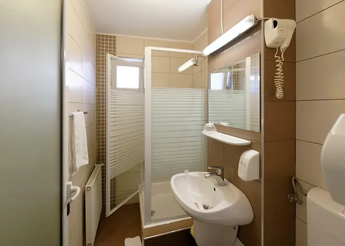 Vila Rosa Cluj-Napoca