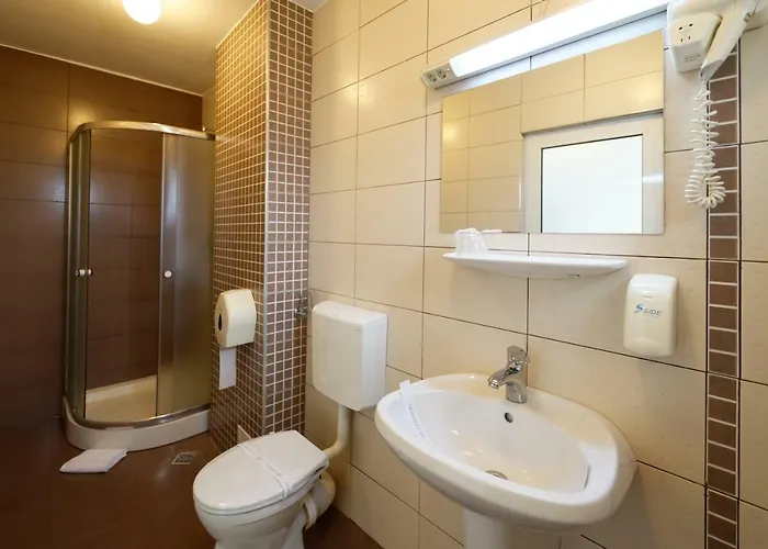 Vila Rosa Pensión Cluj-Napoca