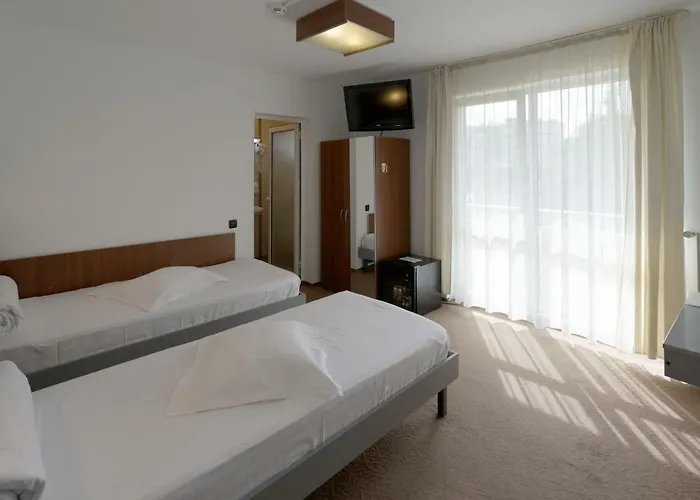 Casa de hóspedes Vila Rosa Cluj-Napoca