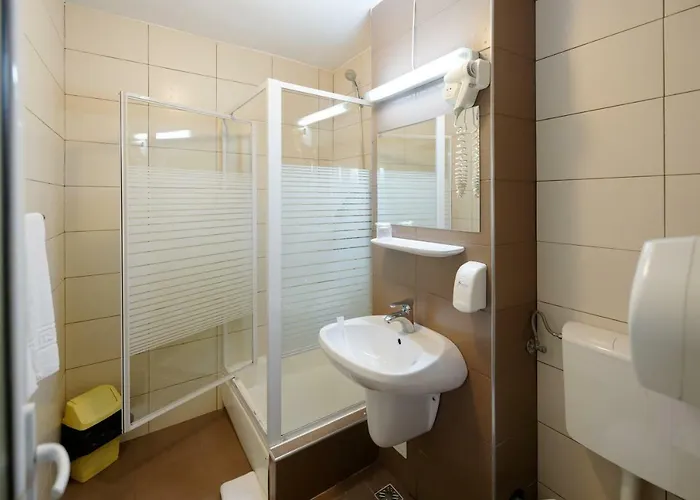 Pensiune Vila Rosa 3*